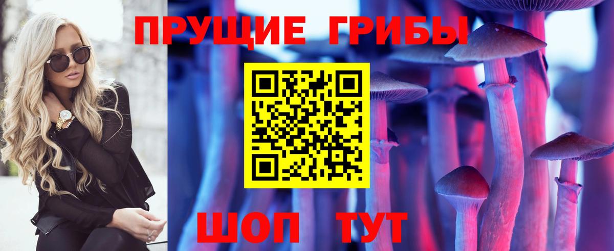 дарнет шоп  Псилоцибиновые грибы Cubensis  Галлюциногенные грибы Magic Shrooms  Вход с VPN  Кудымкар 
